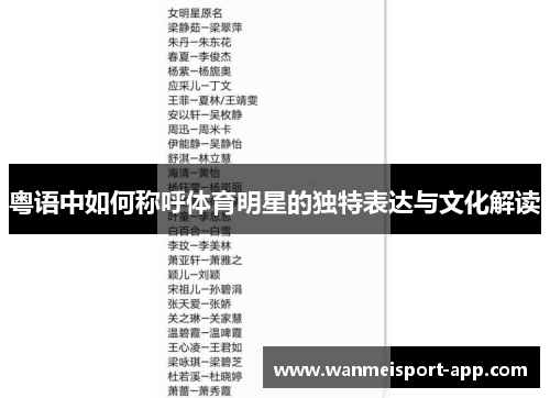 粤语中如何称呼体育明星的独特表达与文化解读